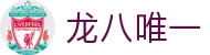 龙八唯一官方